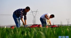 Agricultores chinos preparan sus drones para fumigar sus cultivos en la provincia de Henan, como muestra del desarrollo tecnológico en áreas rurales. (Foto tomada de Radio Internacional de China).